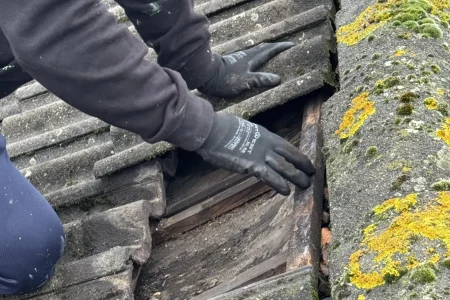 Strom schade - dakedekker Bergen op Zoom